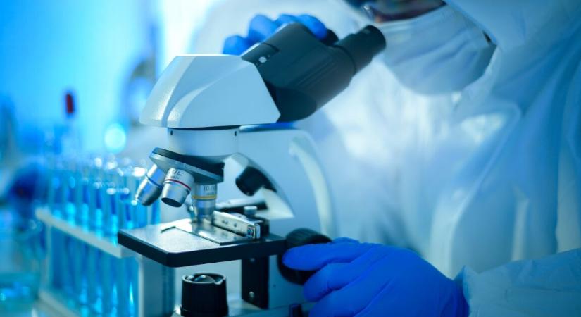 Még pusztítóbbá tették a daganatölő immunsejteket