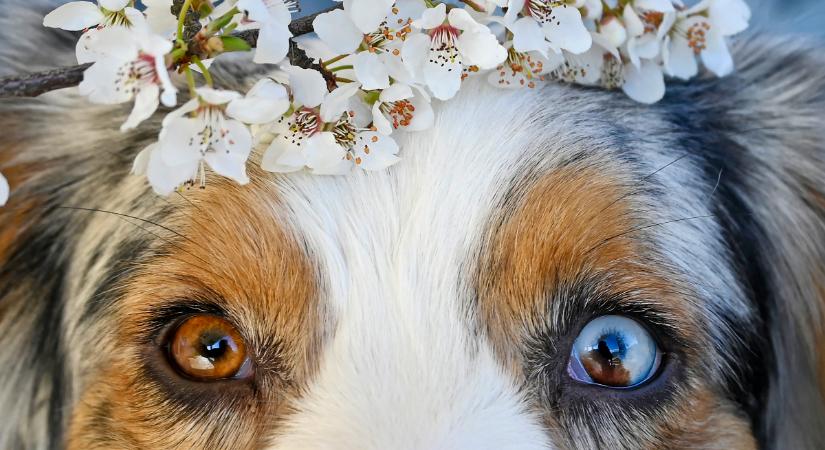 Napi horoszkóp 2026. április 18: jönnek a leföldeltebb energiák…