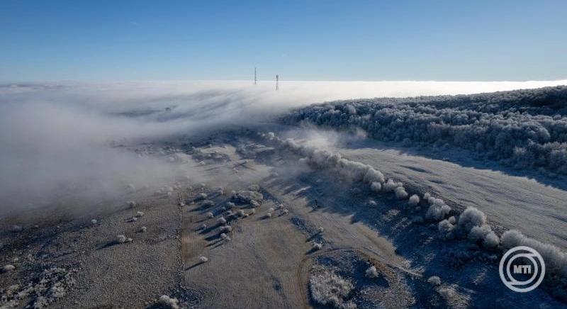 Az Agrárminisztérium a tavaszi fagykárok bejelentésével kapcsolatos tájékoztatót tett közzé