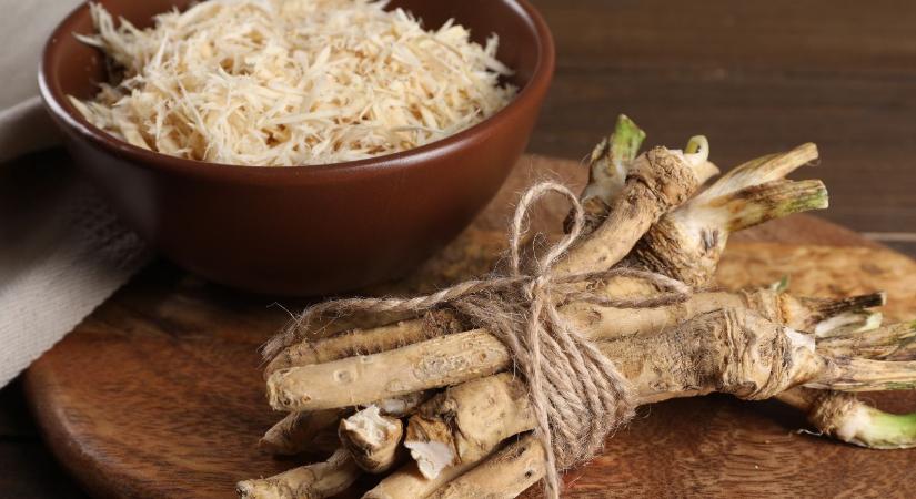 Árverseny a földeken: kibírja-e a hajdúsági torma a távol-keleti nyomást?