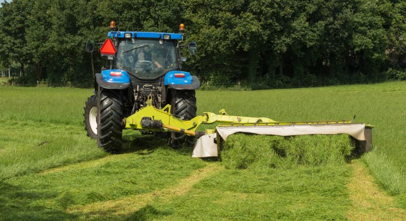 Ezt kötelező bejelenteni Magyarországon: sokakat érinthet idén