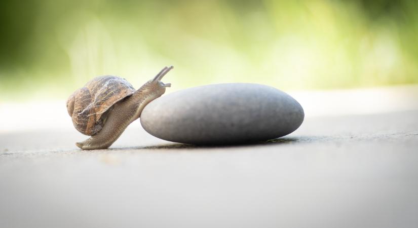 Kihívások: hogyan kezeljük jól az újabb és újabb változásokat?