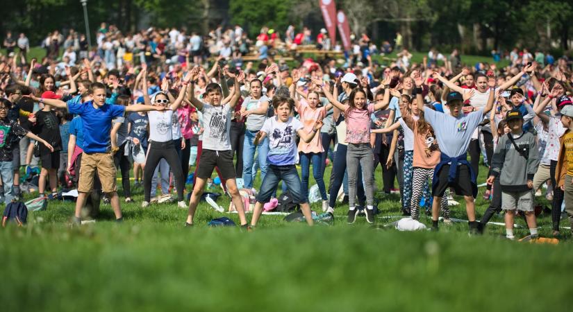 Medve Matek: matematika játékosan, a szabadban