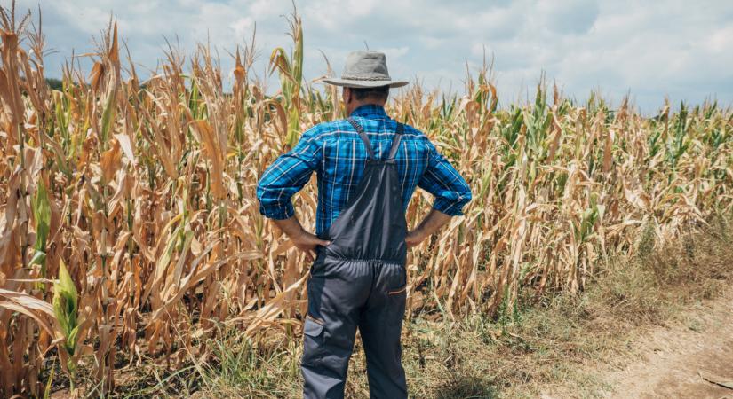 Fojtogatja a válság a termelőket: ez az egyetlen kiút a gazdaságoknak