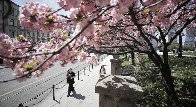 Horvát, montenegrói és bosnyák iskolákat és plázákat fenyegettek robbanószerrel