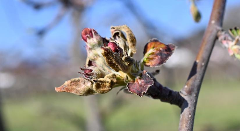 Itt az idő jelezni a káreseményt, különben elúszik a pénz