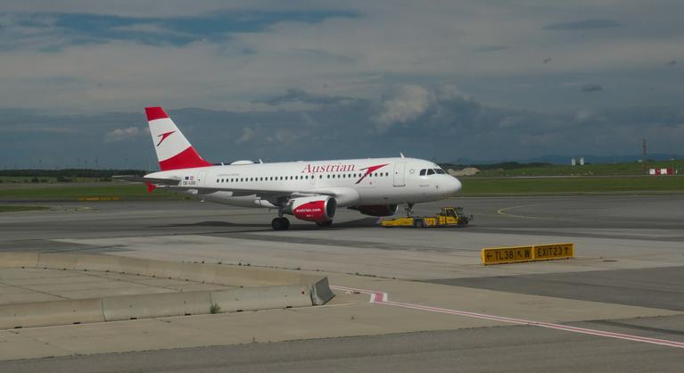 Egy méh akadályozta egy Bécsbe tartó járat felszállását, több órás késést okozott