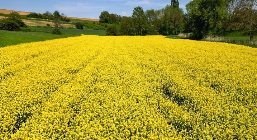 Már 8 szer szórható drónnal: itt a legújabb lista és a szigorú repülési szabályok