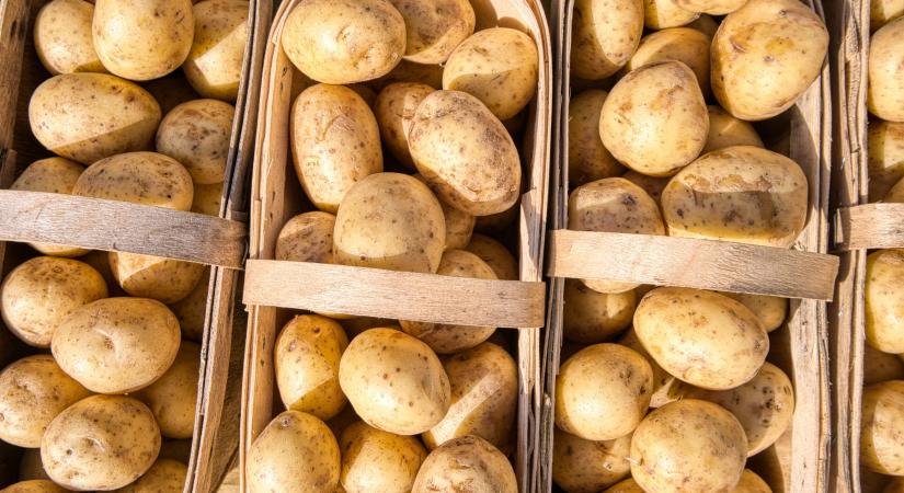 Így tárold a krumplit, hogy hónapokig friss maradjon – a legtöbben ezt rontják el