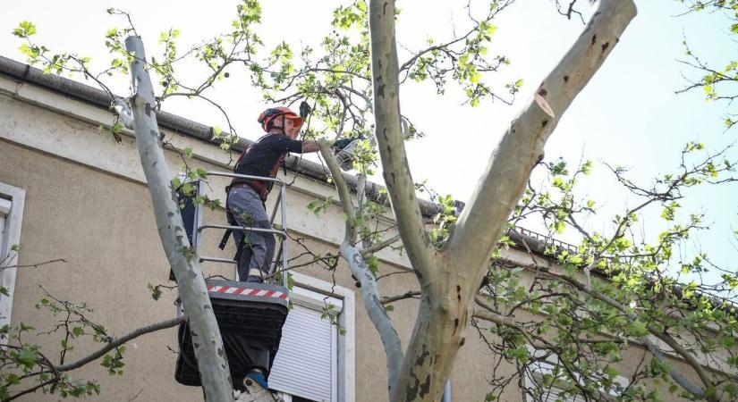 Legyen nagyon körültekintő, ha ezen a szolnoki útszakaszon közlekedik!