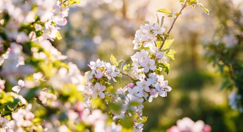 Reggel napszemüveg, délután már esernyő? – ilyen lesz a holnapi időjárás