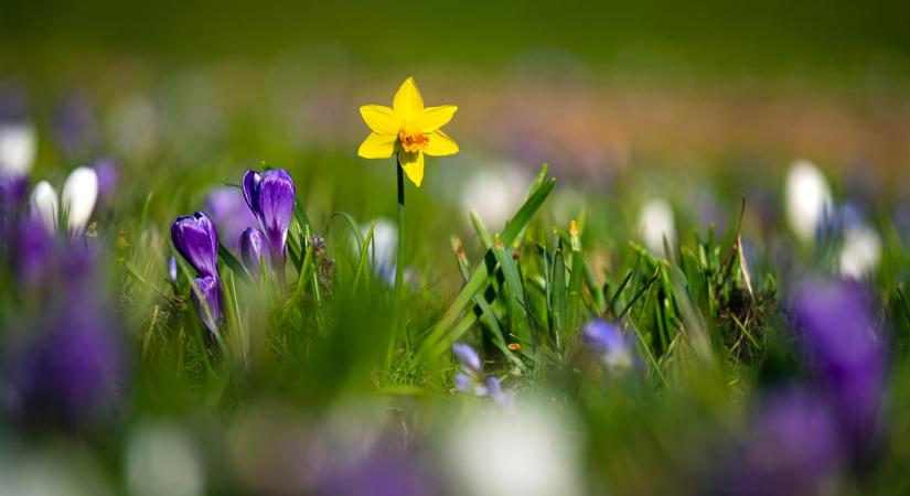 Igazi kirándulóidő lesz szombaton, utána viszont már eső is lehet