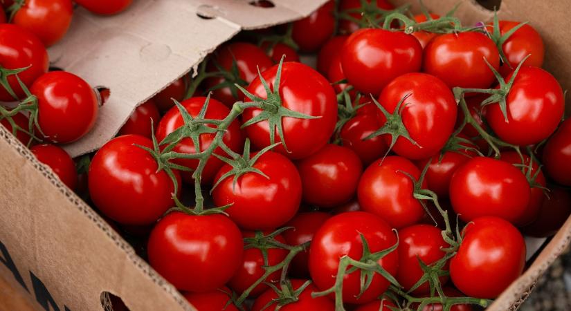 Letarolja Európát a török paradicsom; ez az oka