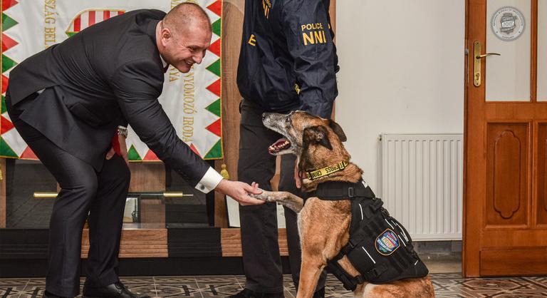 Megérdemelt pihenés vár Ticóra