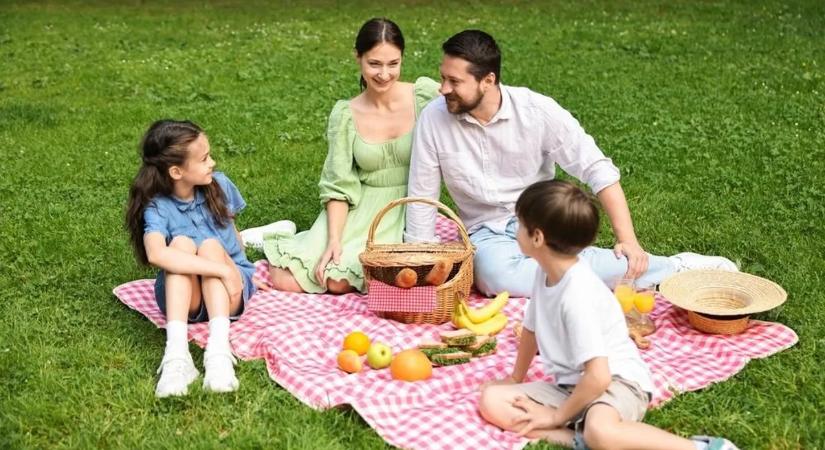 12 jól szállítható, mennyei fogás a piknikes kosárba, ha unod a rántott húsos szendvicset