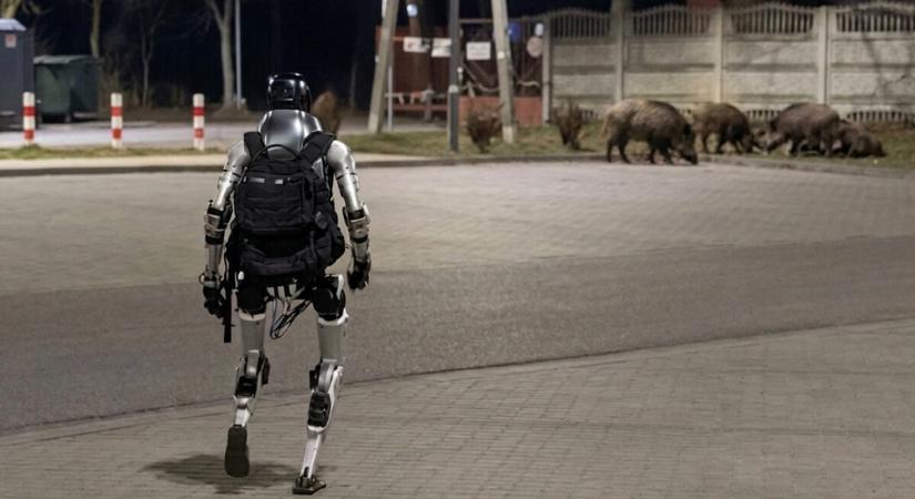 Videón, ahogy vaddisznók hülyét csinálnak egy humanoid robotból, ami a dühében még az öklét is rázta