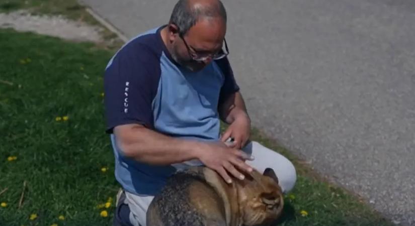 Kutyájának köszönheti az életét András: "Ha ő nincs, nem beszélgetnénk itt, ez biztos!"