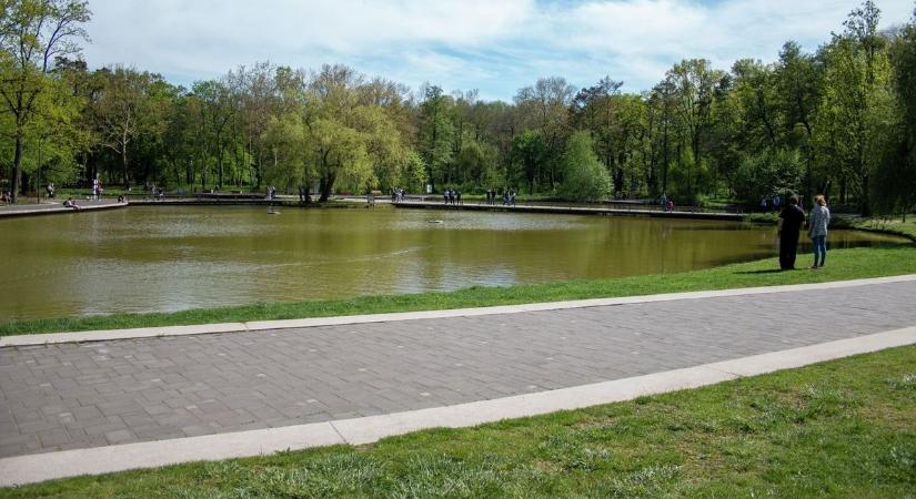 Tetemek a Békás-tó partján – kiderült, mi okozta a tömeges halpusztulást – fotókkal