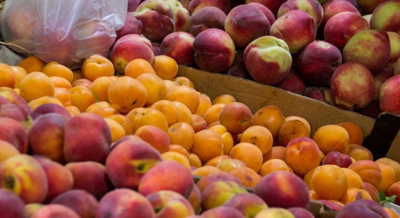 Ilyen gyümölccsel lesz tele hamarosan sok piac: kemény, honnan érkezik