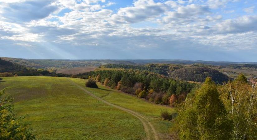 Ezek a Dél-dunántúli Kéktúra legszebb szakaszai – A legtöbben mégsem ismerik