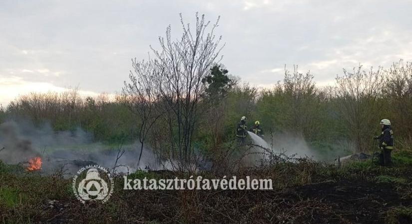 Tujasor, nádas és szeméttelep: tűzesetek sorozata rázta meg Zala vármegyét