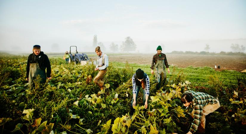 Rengeteg magyar kap fontos üzenetet az adóhivataltól: kiderül, kinek kell fizetnie és ki kaphat vissza pénzt