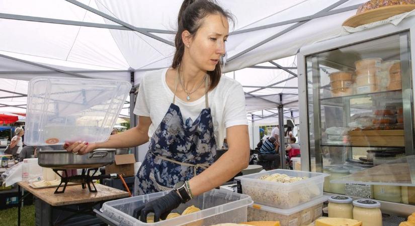 Finom termelői sajtok a vásárcsarnokban – csak legyen, aki meg is tudja fizetni!