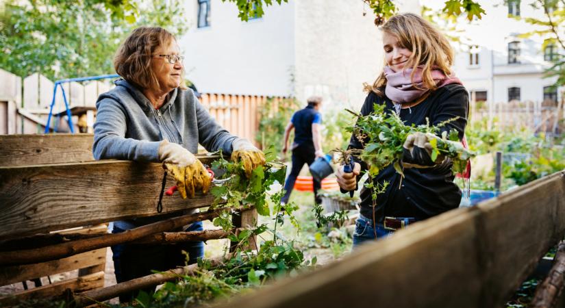 Új őrület hódíthat itthon: egyre több ilyen kert lehet a magyar városokban is