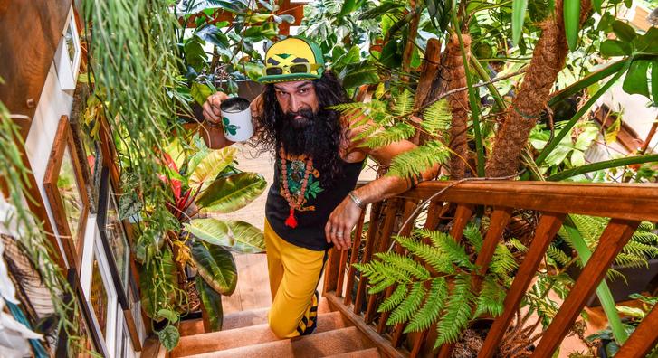 Trópusi paradicsom a nappaliban, dzsungelt csinált a teljes lakásából