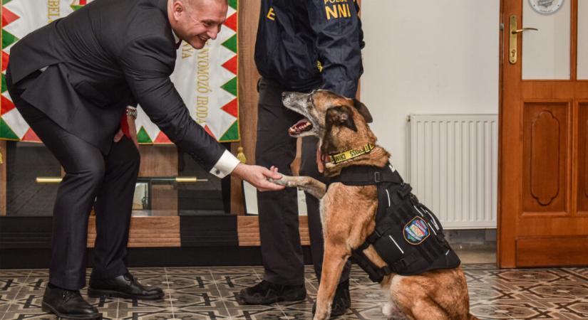 Tizenegy év után nyugdíjba megy Tico, a rendőrkutya