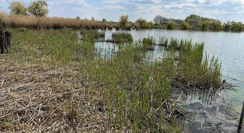 Nagy munkába fogtak Látóképen, ennek biztosan sokan örülnek majd! - fotókkal!