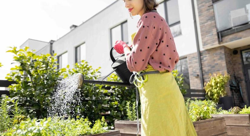 Hasznosabb a városi kertészkedés, mint gondolnád