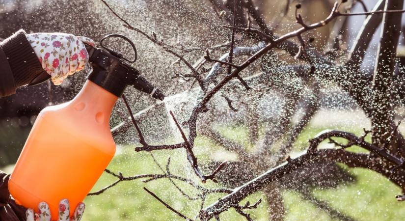 Ezért nem működik a permetezés sokaknál - rossz az időzítés