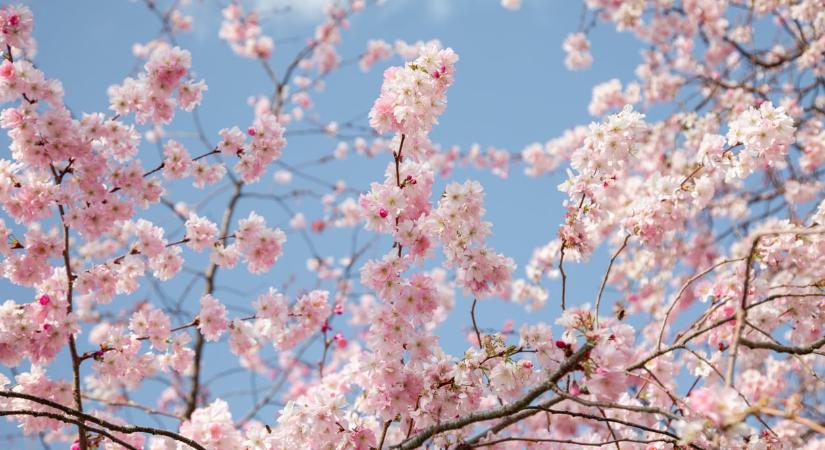 Időjárás 2026. április 18.: Napos, kellemes tavaszi idővel indít a hétvége