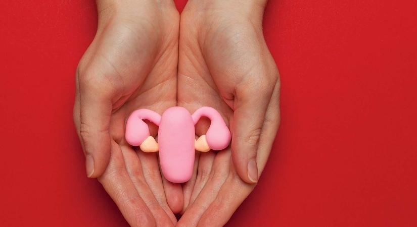 Méheltávolítás: mikor indokolt, hogyan zajlik, és milyen hatással van a testre?