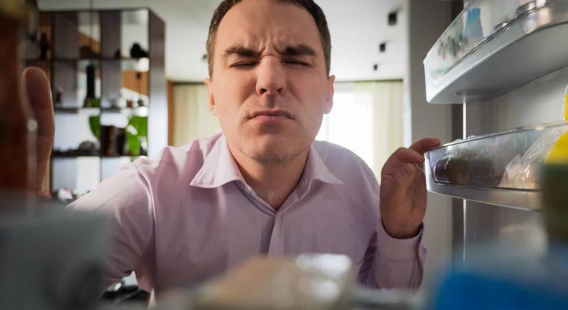 Erre figyelj áramszünet idején a Nébih szerint – különben a kukában végezhetik az ételek