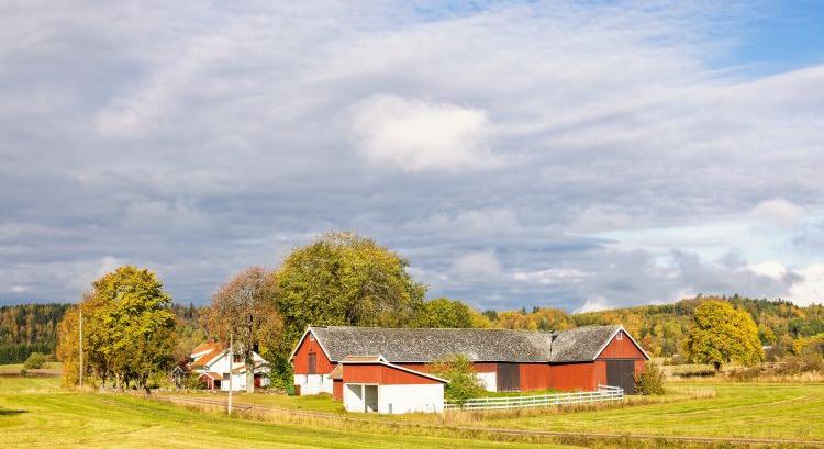 Lemaradtál? Ősszel újra nyit a tanyapályázat