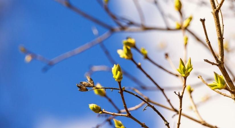 Változékony szombat Győr-Moson-Sopronban: záporok és szél zavarhatják meg a kirándulást