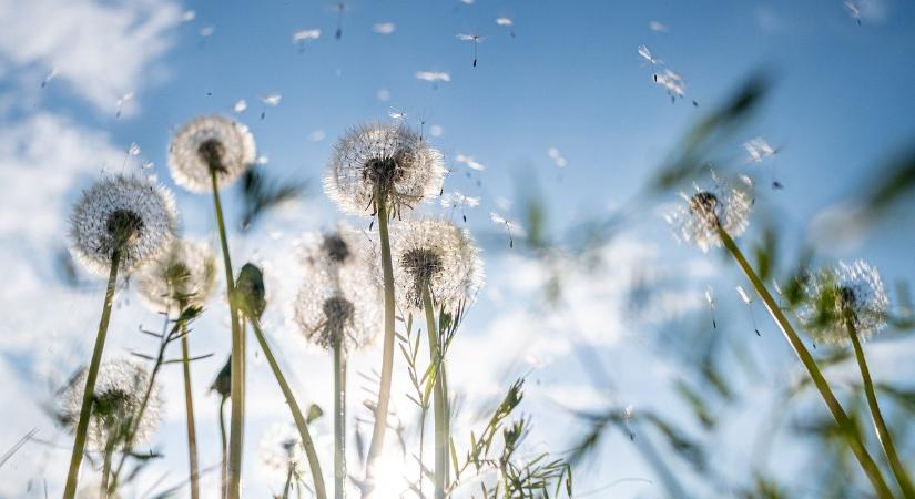 A Világosság református egyházi műsor április 19-ei ajánlata