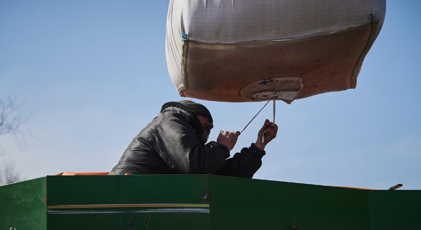 A legrosszabb forgatókönyve számítanak az ukrán mezőgazdaságban