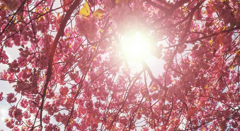 Orvosmeteorológia: lesznek, akiket megvisel a szombat