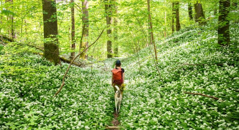 Élvezze ki a szombati napsütéses időt, mert jön a hidegfront