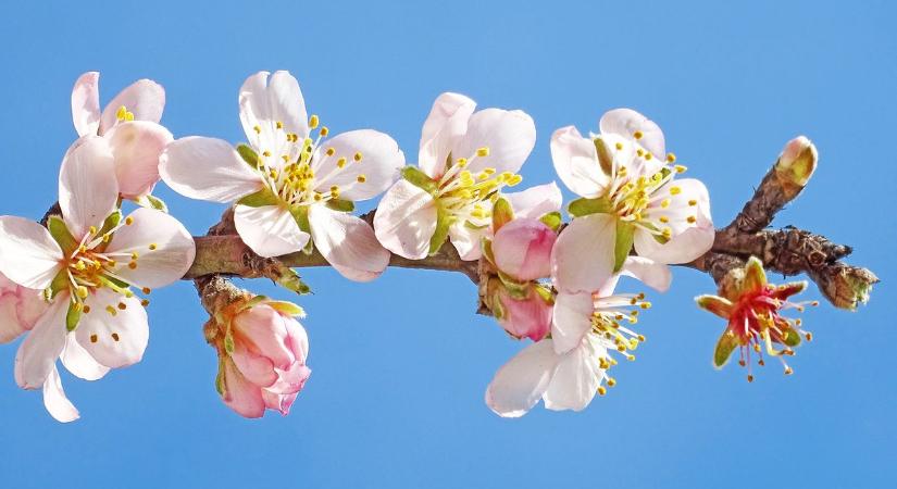 Így alakul a mai időjárás, lesz benne egy kis csavar