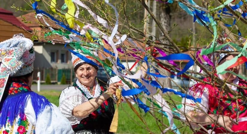 Májusfa felajánlót keresnek Bátaszéken