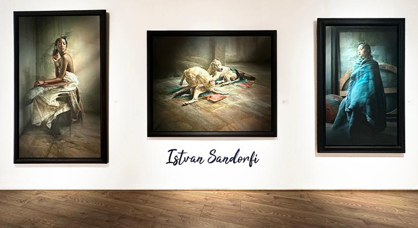 Milliókat érő, szándékosan elrontott képek