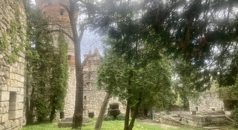 Akaratból várat is lehet építeni