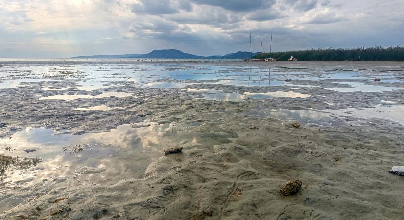 Veszélybe kerülhet a nyaralás a Balaton kedvelt strandjain: bosszantó jelenség keseríti meg a fürdőzők életét