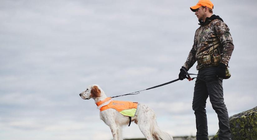 Jó reggelt: Mellényben a jámbor eb