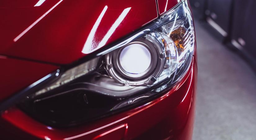 Már alig kapott levegőt – „legjobb barátjának” köszönheti az életét