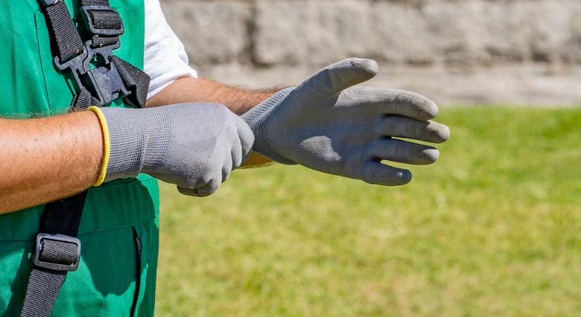 Tönkreteheted a gyepet ezzel a tavaszi teendővel